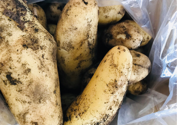 咲千屋の作物について